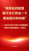 习总引领青年意愿者挺膺担任、矢志奋斗